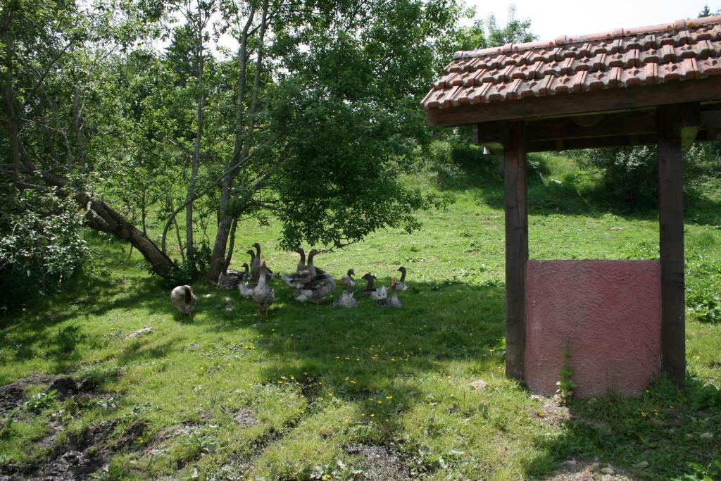 Gites Du Kreuzweg Le Hohwald Εξωτερικό φωτογραφία