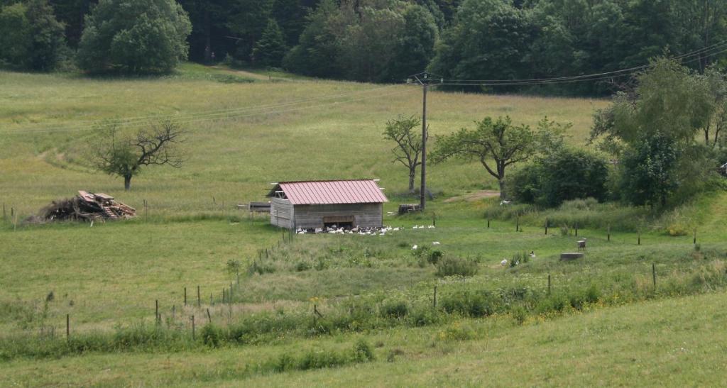 Gites Du Kreuzweg Le Hohwald Εξωτερικό φωτογραφία