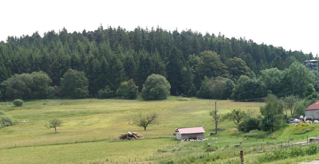 Gites Du Kreuzweg Le Hohwald Εξωτερικό φωτογραφία