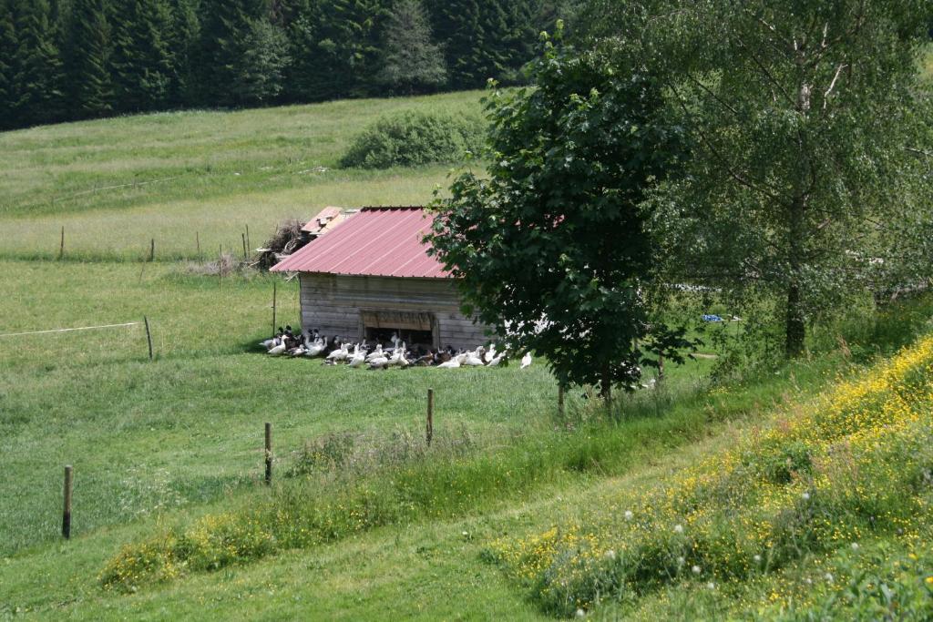 Gites Du Kreuzweg Le Hohwald Εξωτερικό φωτογραφία